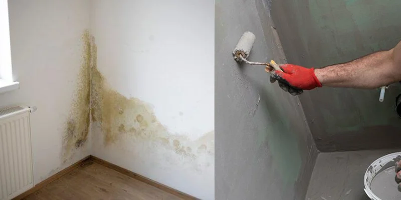Wall Waterproofing